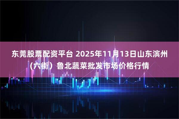 东莞股票配资平台 2025年11月13日山东滨州(六街）鲁北蔬菜批发市场价格行情